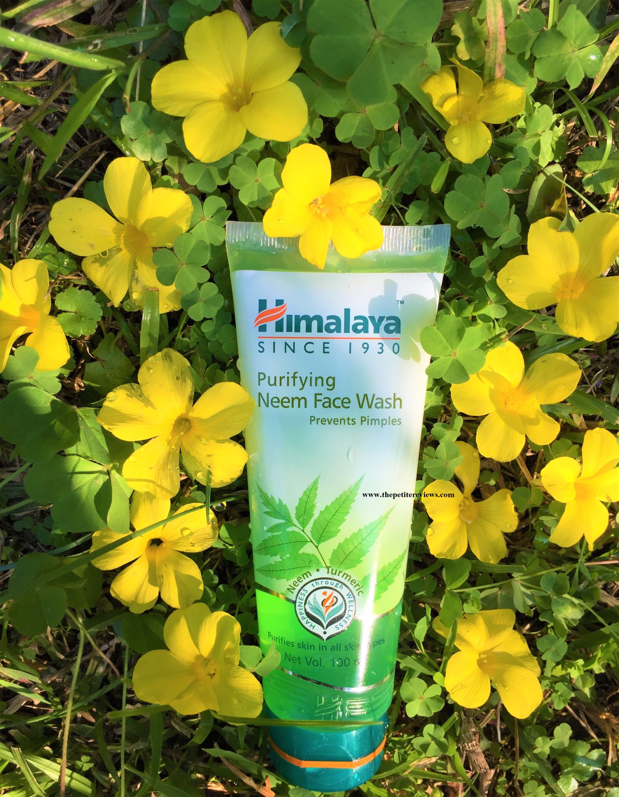 Himalaya Purifying Neem Face Wash Review