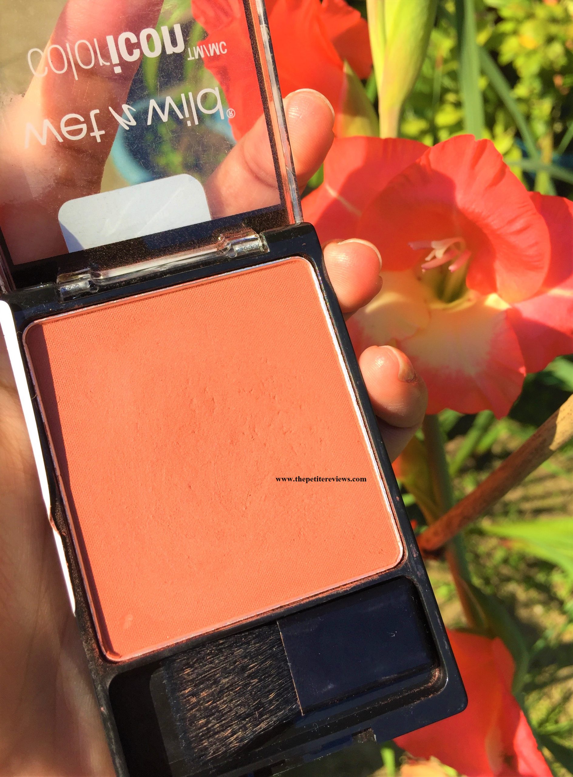 Wet N Wild Color Icon Blush Review