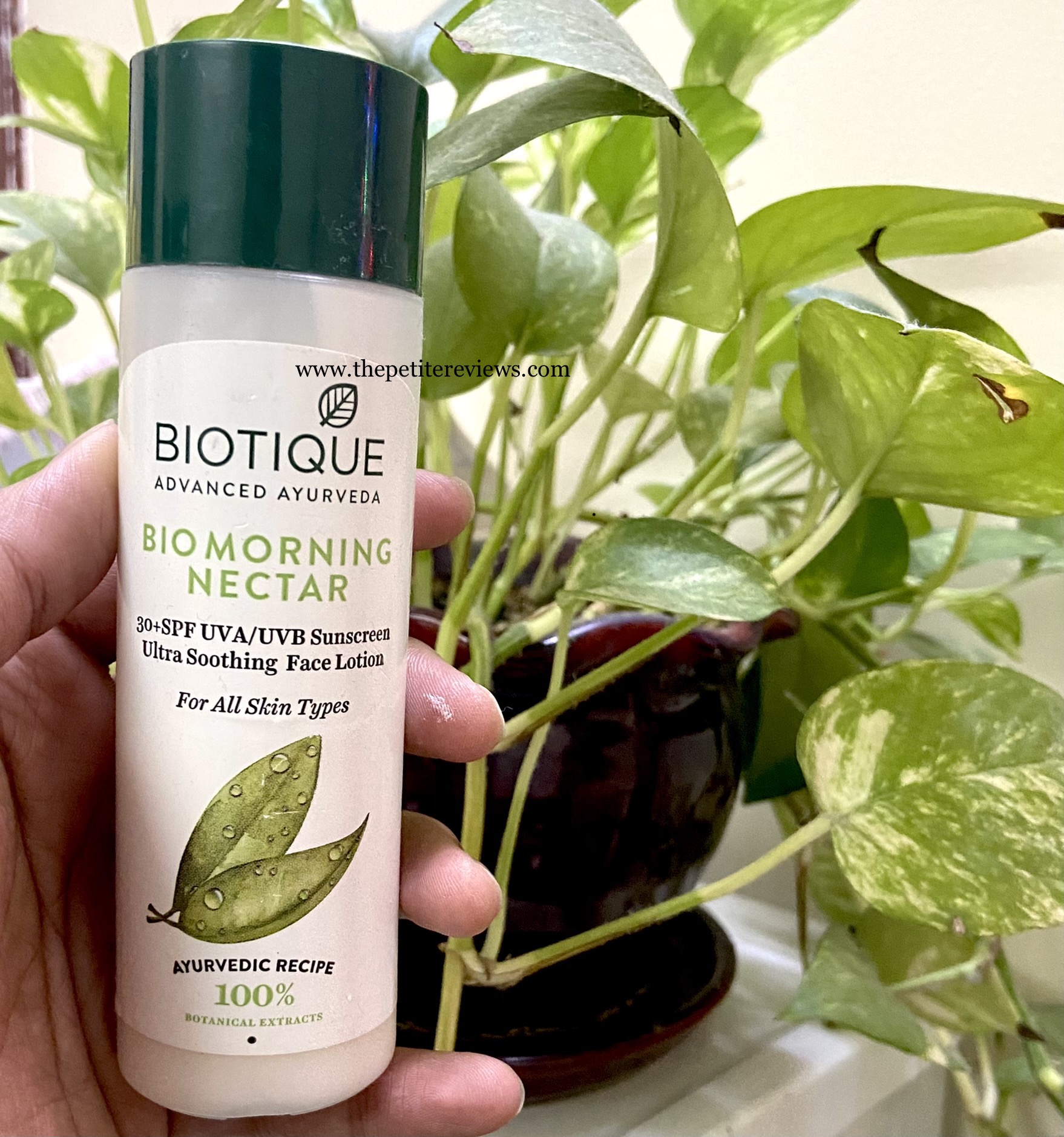 Biotique Bio Morning Nectar Ultra Soothing Face Lotion Review