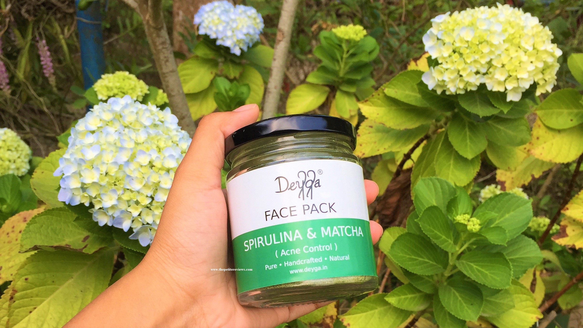 Deyga Spirulina and Matcha Face Pack Review